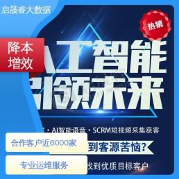 快速助力拓展业务市场 专业运维团队 三网大数据获客 启晟睿